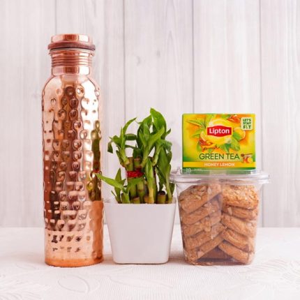 Bamboo Plant N Copper Bottle Gift Set