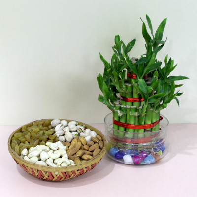 Bamboo Plant with Dry Fruits - 2 Layer Bamboo Plant, Assorted Dryfruits in Basket